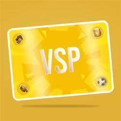VaynerSports Pass #965