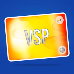 VaynerSports Pass #13101