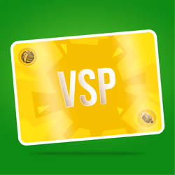 VaynerSports Pass #12009