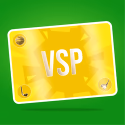 VaynerSports Pass #3749