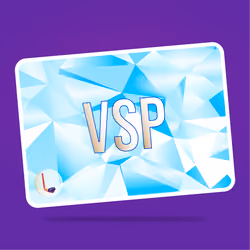 VaynerSports Pass #11178