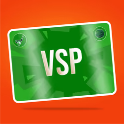 VaynerSports Pass #5848