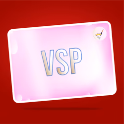 VaynerSports Pass #13691