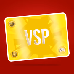 VaynerSports Pass #7919