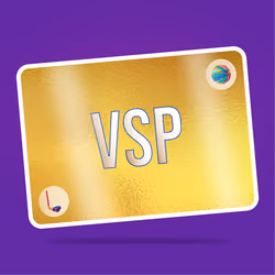 VaynerSports Pass #9033