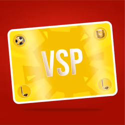 VaynerSports Pass #6021