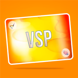 VaynerSports Pass #14971