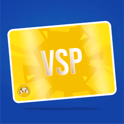 VaynerSports Pass #12191