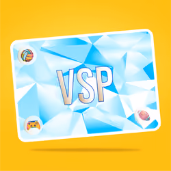 VaynerSports Pass #3646