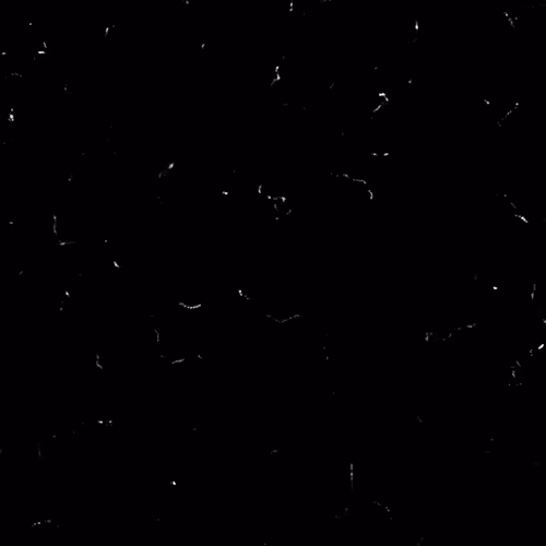 Everydays By 008 Eth