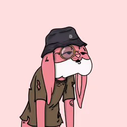 Bunny #501