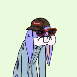 Bunny #145