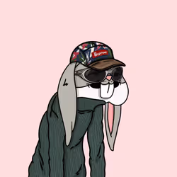 2446