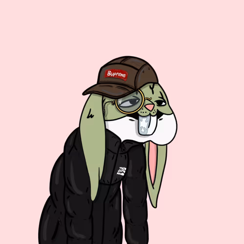 Boolinbunnies