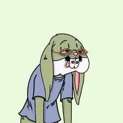 Bunny #527