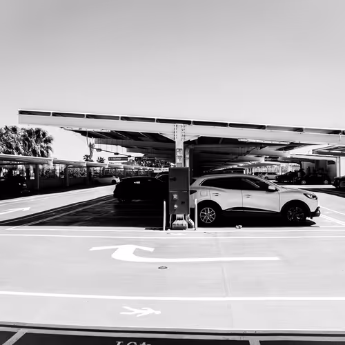 B&W by FRANKIEHIGH.ETH