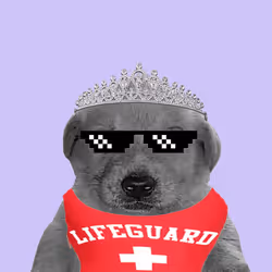 Degen Doggos NFT #312