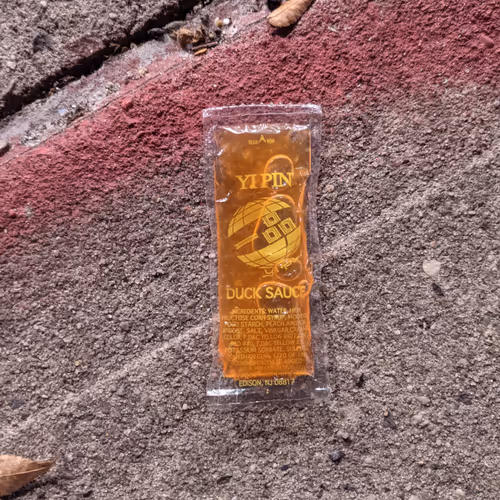 Duck Sauce #1
