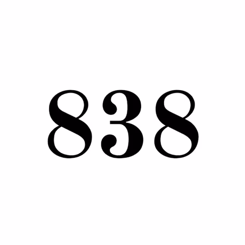 Item #454 Media