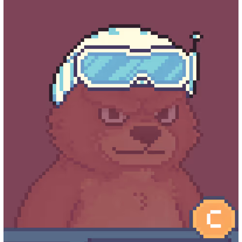 Brawler Bearz Shop