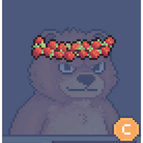 Brawler Bearz Shop