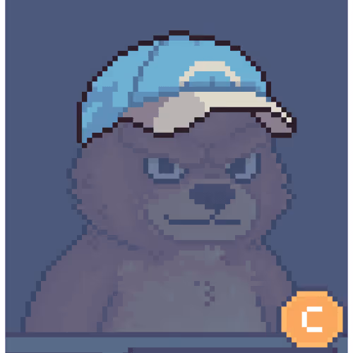 Brawler Bearz Shop