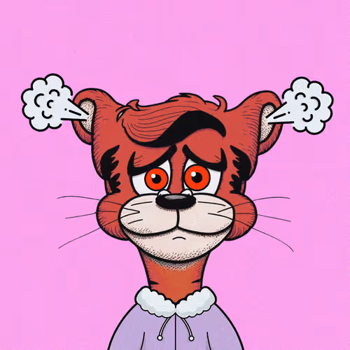 Toonzwtf