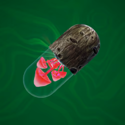BYOPILL 1175