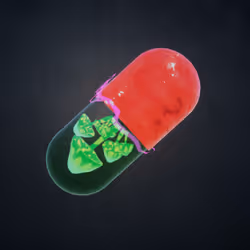 BYOPILL 5288