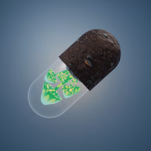 Item #736 Media