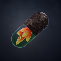 BYOPILL 4257