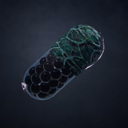 BYOPILL 77
