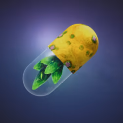 BYOPILL 8831