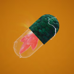 BYOPILL 2935