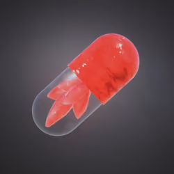 BYOPILL 6528