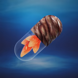 BYOPILL 4020