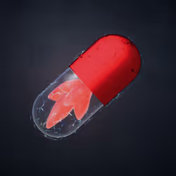 BYOPILL 2393