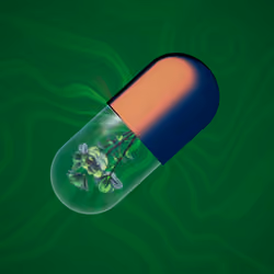 BYOPILL 4245