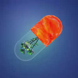 BYOPILL 537