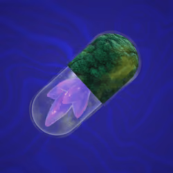 BYOPILL 8538