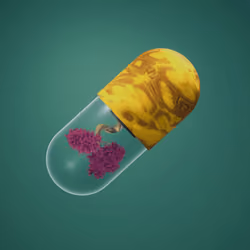 BYOPILL 7647