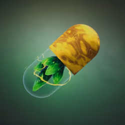 BYOPILL 2531