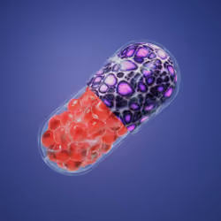 BYOPILL 6689