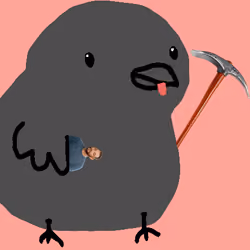Birb #567