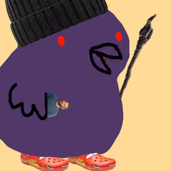 Birb #566