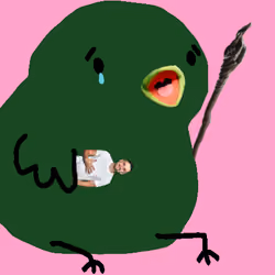 Birb #4672