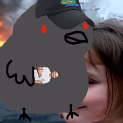 Birb #6903
