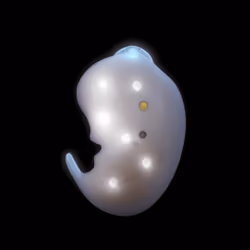 neo embryo:genesis #42