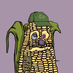 Corn #4843