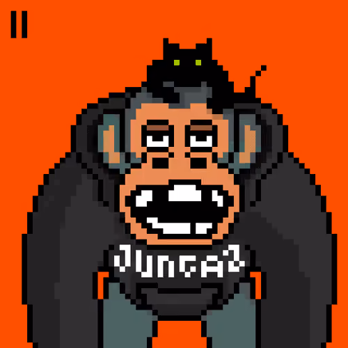 JUNGAZ #63